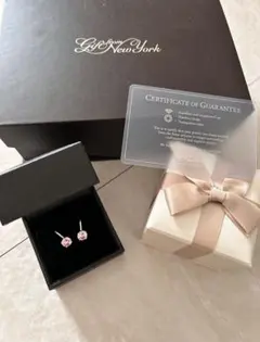 ニューヨークからの贈り物