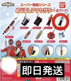 スーパー戦隊シリーズ　めじるしアクセサリー　 レンジャーキー（ゴーカイシルバー）
