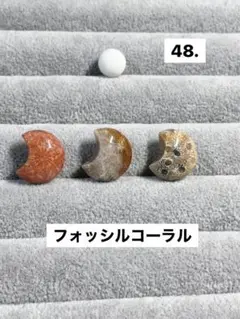 48.在庫処分〜フォッシルコーラル月(白)