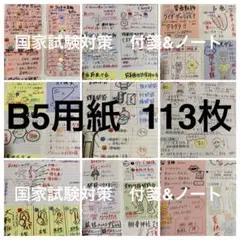 看護師国家試験対策 B5 113枚⭐︎付箋まとめノート⭐︎看護学生