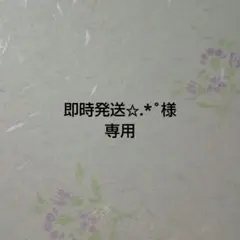 即時発送✩.*˚様専用 小さな 麦わら帽子 20個&バッグ 計40個セット