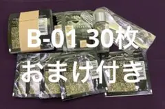 Item thumbnail for item 1918fd7f-5e47-4c81-949e-40c4f5d1bf58