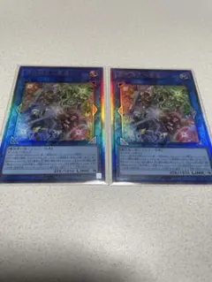 遊戯王 四花繚乱の霊使い　レリーフ