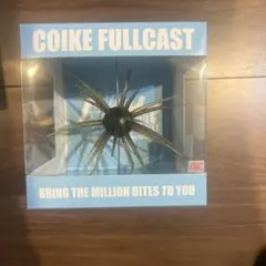 HIDEUP COIKEFULLCAST#143ウォーターメロンブラックブルーF - メルカリ