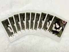 &TEAM K ケイ BtL miniver. インスタント風10枚セット