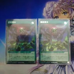 遊戯王 ラッシュデュエル 天の加護 天の招来 RED - メルカリ