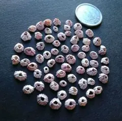 MICHI☆MICHI様 リクエスト 5点 まとめ商品