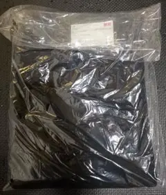 Item thumbnail for item 2fac8f0d-5293-47ab-97cf-6cc1ec7395d1