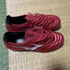 モレリアネオ サラ β 24.5 TF