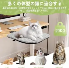 Item thumbnail for item de6af278-78dd-487a-9d10-dfe869889838