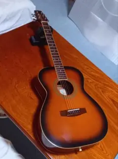 タカミネT-F1 BS 調整済み ギグケース付き！ 2025年最新