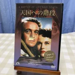 2026年最新】天国の階段 dvdの人気アイテム - メルカリ