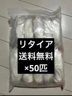 Item thumbnail for item 8c9e2593-7530-4bdd-b049-3c5ad7d8b1a7