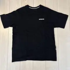 patagonia M レギュラーフィット Tシャツ