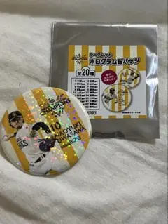 柳田悠岐 ホログラム缶バッジ