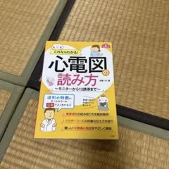 Item thumbnail for item 89a52b08-f3b1-41f1-a23a-ae1cf36b4274