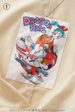 Item thumbnail for item b5542b52-b5d3-448b-a028-666c90d1e5a8