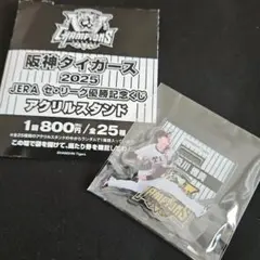阪神タイガース 2025 優勝記念くじ アクリルスタンド [及川雅貴]