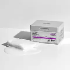 【ほぼ新品】リードルS EFI-GF エクソソームマスク VT フェイスパック