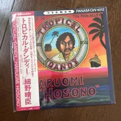 細野晴臣 - 泰安洋行 LP レコード - メルカリ