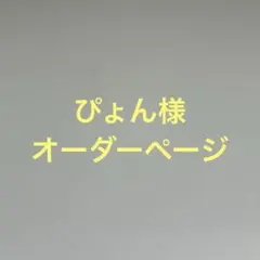ぴょん様オーダーページ - メルカリ