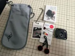 Item thumbnail for item 5abcf67a-b67e-4726-9d5b-9a6e1c3ef54c