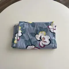 Item thumbnail for item 66f186d0-6583-4a34-8128-4fb223007484