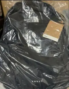 [ノースフェイス] リュック VAULT [並行輸入品]