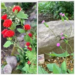 ちいぃー様 リクエスト 2点 まとめ商品