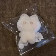 ソヌ ぬいぐるみ 40センチ マスター ENHYPEN おまけ付き - メルカリ