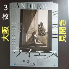 2026年最新】andrew wyethの人気アイテム - メルカリ