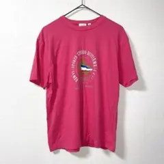 HUITIEME ウィッテム レディース　半袖シャツ　Tシャツ　ピンク　Lサイズ