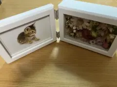 両面フォトフレーム 猫とドライフラワー