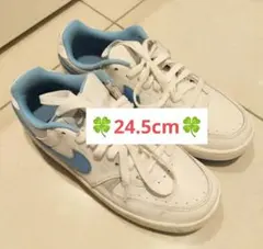 着払⚠【24.5センチ】ナイキガンマフォース/NIKE/スニーカー/ブルー