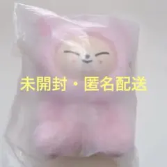 【未開封】StrayKids 本国ペンミ　フォクシニー　アイエン　TOYver