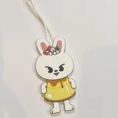Straykids 스키즈 Leebit 리빗 러기지 태그