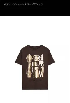 ZARA メタリックショートスリーブtシャツ　9〜11号