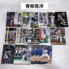阪神タイガース 東京ヤクルトスワローズ 青柳晃洋 プロ野球チップス BBM