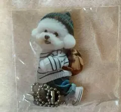 新品犬ビションフリーゼ　青ニット帽小型犬　愛犬アイテムキーホルダー