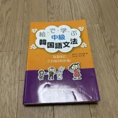 絵で学ぶ中級韓国語文法