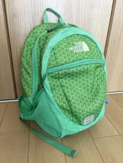 THE NORTH FACE small day リュック　バッグ　グリーン　緑