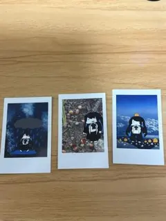 2025年最新】ado チェキの人気アイテム - メルカリ