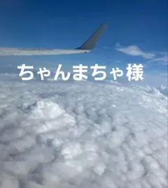 ちゃんまちゃ様