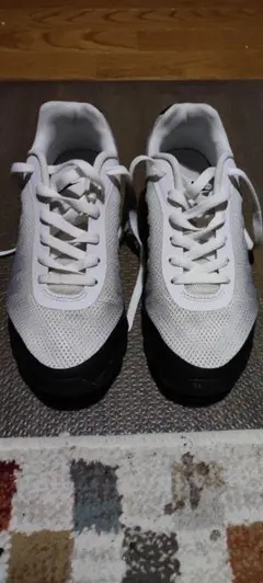 Nike Air Max ホワイト/ブラック スニーカー