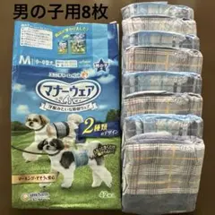 Item thumbnail for item bd19ef0e-4d0e-4582-ab03-f0f505a8b1b6