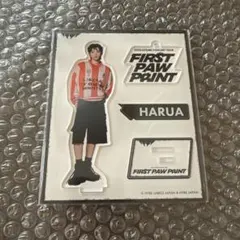 【匿名配送】&TEAM HARUA FIRST PAW PRINT アクスタ
