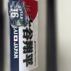 メ*0様 【非売品】大谷翔平選手 ステンレスサーモタンブラー 西川
