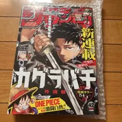 週刊少年ジャンプ 2022年30号 ワンピース付録付き　ワンピース 週刊少年ジャンプ 2022年30号 ワンピース付録付き ワンピース | Mercari