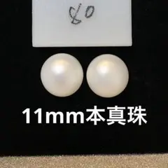 本真珠　淡水パール　ピアス シンプル 大粒　11mm