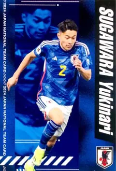 菅原由勢 レギュラーカード 日本代表チップス 2024 カルビー